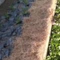 12 Strategies to Boost Your Farm's Income