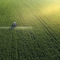 The Future of Farming: How to Make a Profitable Business