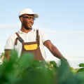 The Ultimate Guide to Making $100k Farming