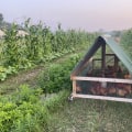 The Ultimate Guide to Achieving Self-Sufficiency on 5 Acres: Tips from a Sustainable Living Expert