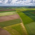 The Evolution of Farm Size in the United States