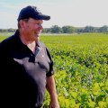 The Profitability of Farms: Finding the Right Size for Success