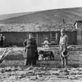 The Changing Definition of a Ranch: From Traditional Vast Tracts to Sustainable 10-Acre Properties