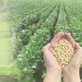 The Global Rise of Organic Farming