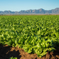Farm vs. Ranch Explained: The Difference Between a Farm and a Ranch and What Each Is Known For