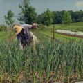 Maximizing Farming Success on 40 Acres