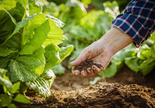 The Many Types of Organic Farming: A Comprehensive Guide to Sustainable Practices and Farming Styles