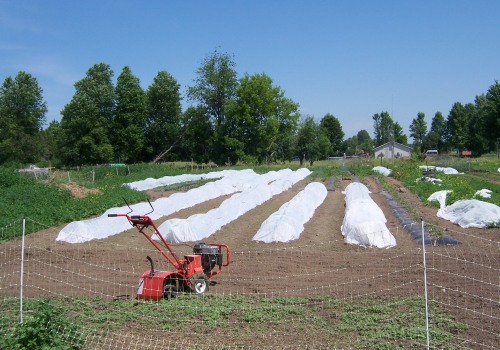 The Secrets to Running a Profitable 5 Acre Farm