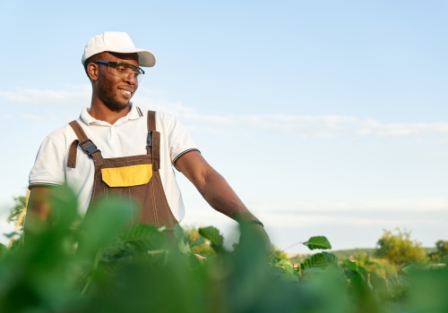 The Ultimate Guide to Making $100k Farming
