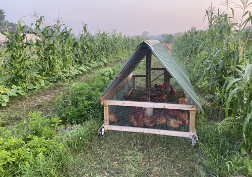 The Ultimate Guide to Achieving Self-Sufficiency on 5 Acres: Tips from a Sustainable Living Expert