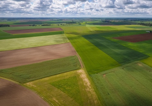 The Evolution of Farm Size in the United States