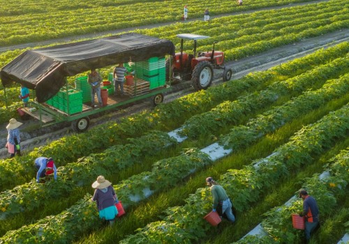 The Pros and Cons of Organic Farming