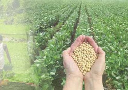 The Global Rise of Organic Farming