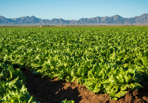 Farm vs. Ranch Explained: The Difference Between a Farm and a Ranch and What Each Is Known For
