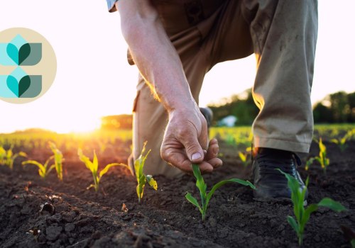 The Most Lucrative Aspects of Farming