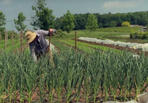 Maximizing Farming Success on 40 Acres